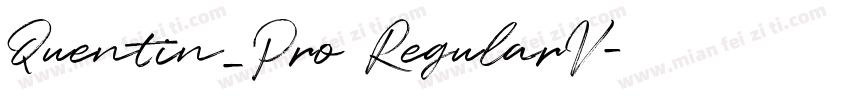 Quentin_Pro RegularV字体转换